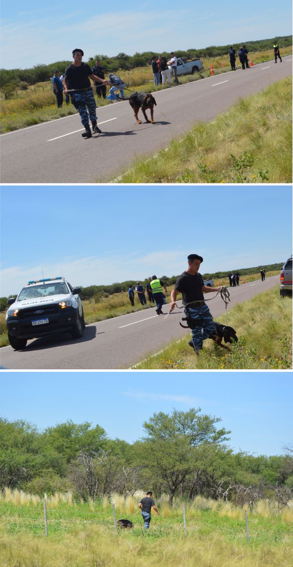 multimedia.normal.8eac1920eb50e6c5.706572726f736172725f6e6f726d616c2e6a7067