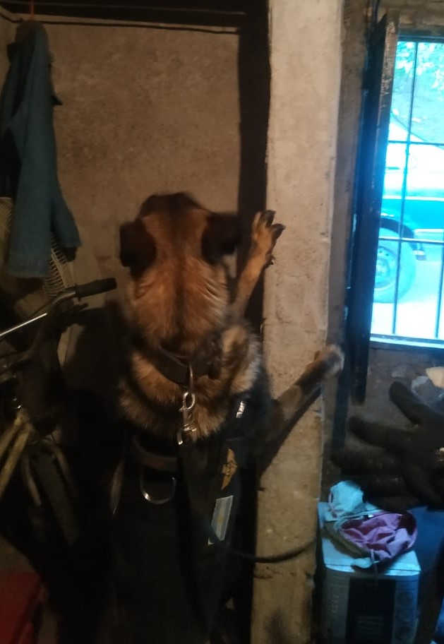 c3c30dbf-b846-404a-8942-2b6d4c1a8f7e