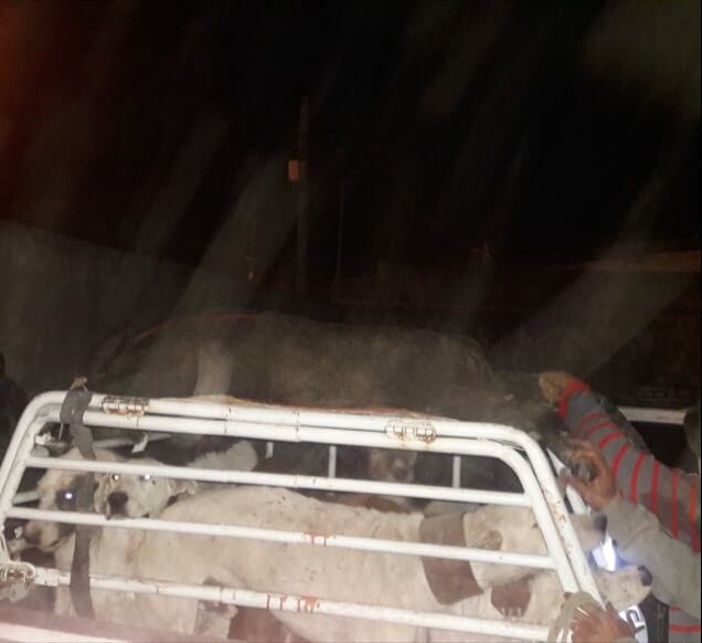 427ff554-4d4c-4c99-8e53-5b28f5087706