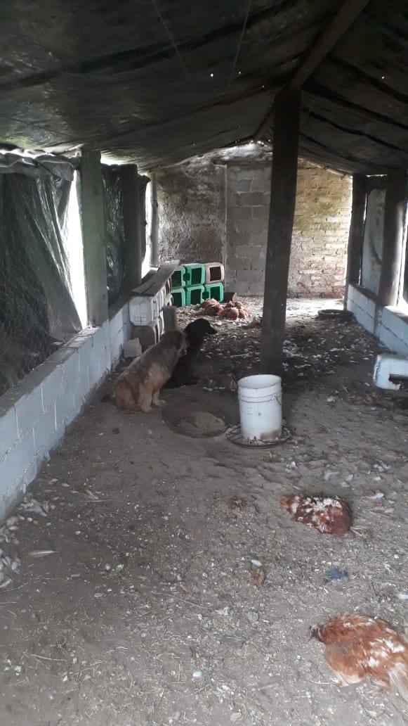 565abc49-d1c3-4dbf-b56d-a2dfab18a520