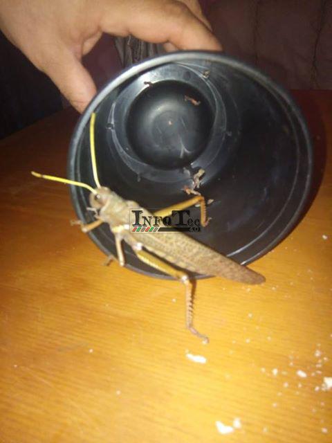 50408692_448643072336782_6628388900106665984_n