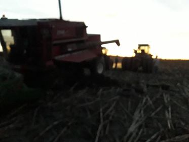 53150442_2261181827237510_5740964093141975040_n