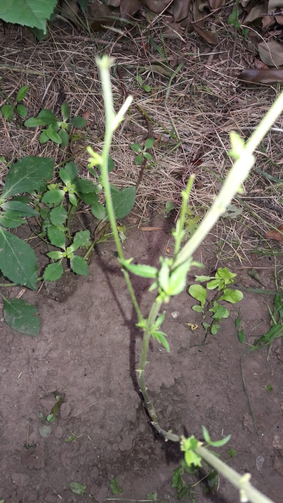 6f83c995-039f-4e2a-afe4-f19e33bc5831