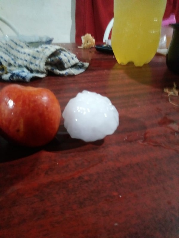 WhatsApp_Image_2019-02-08_at_13.33.55