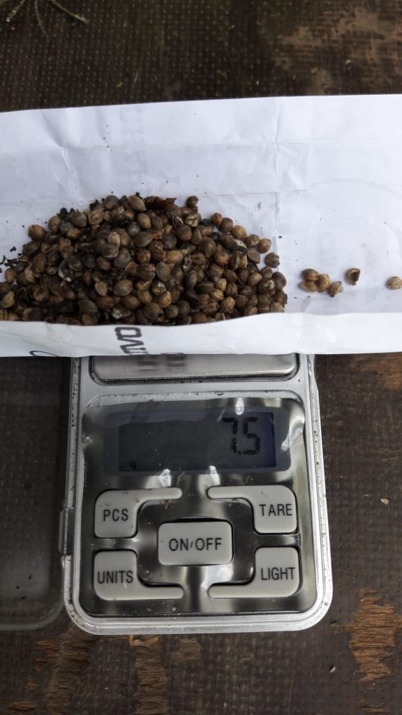 WhatsApp-Image-2020-02-08-at-16.31.42-e1581193326878-576x1024