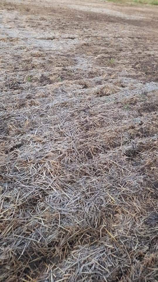 16654e50-c6ac-4b5b-a3a6-5e77012a5aed