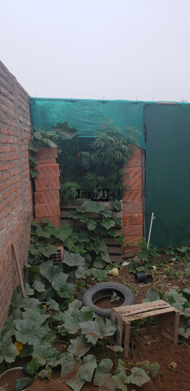 df50a7fd-cf65-4662-8946-b32421613926