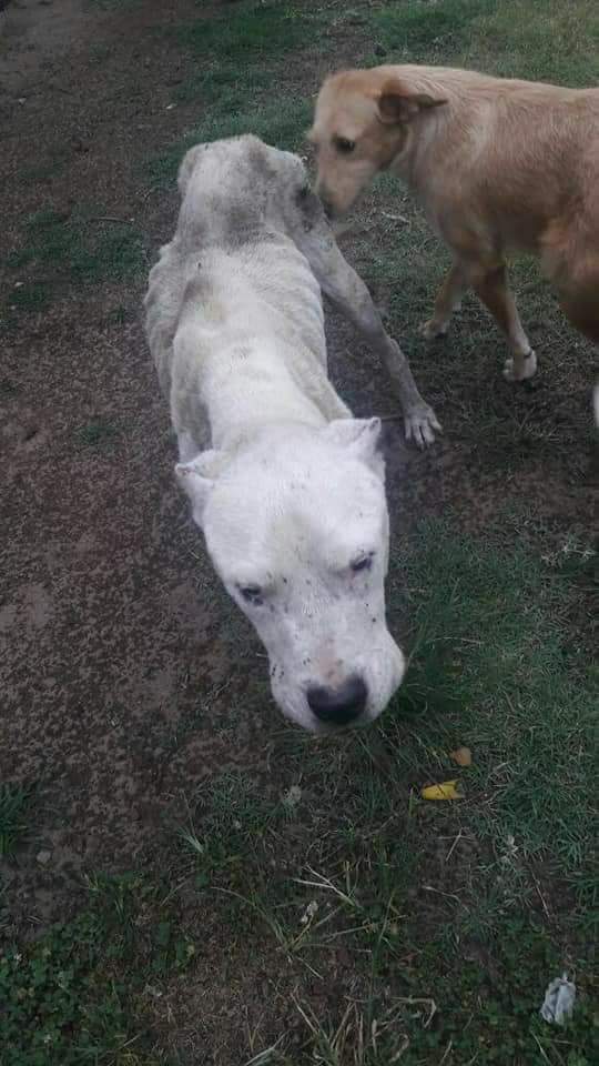 10694058-bcef-459c-9064-661786e8811e