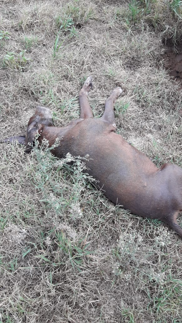 0d71cb8f-82bd-4cea-ae4a-a745e730b552