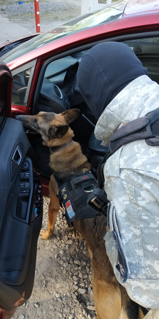 2531e3df-2bb0-4869-a478-baba5551c1f8