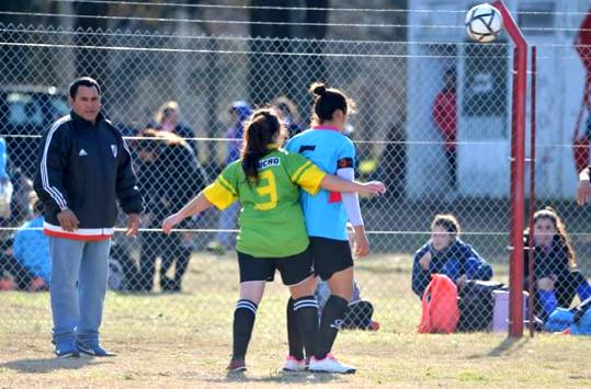 Las pumas 4