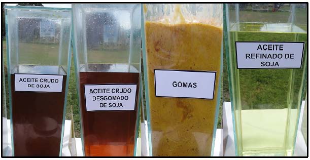 industrias-aceiteras-procesadoras-grano-soja-10_1