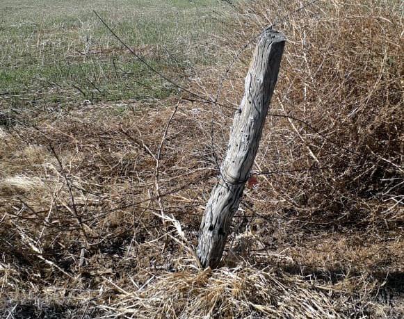 f4bc7a60-4be6-436e-b6a2-308e1b603648