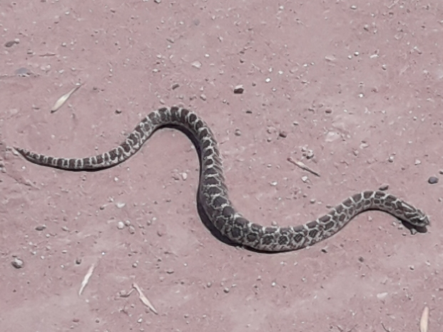 c56ae9c3-aa2a-4b7d-bc50-83f43c3d00b0