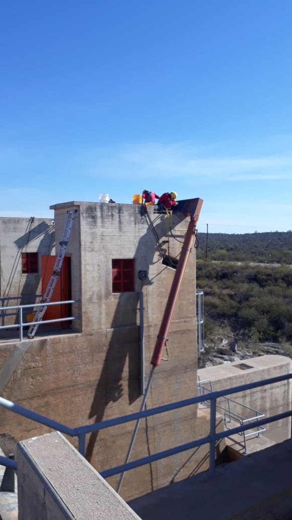 1031b4f5-9a03-4ed9-8488-d767ce8d8d4e