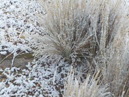 e7fc0118-f0e2-49b5-8c14-b4027e127fbb-413x310