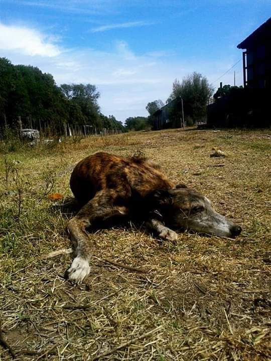 9232c521-b14a-492e-b730-5ca179f5c02e