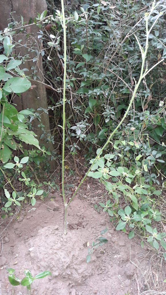 56b132ab-926e-4146-b189-9a14019f55d8