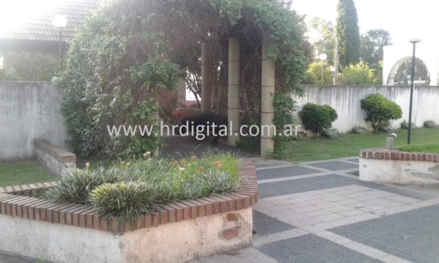 CHANCHOS EN EL CEMENTERIO 2