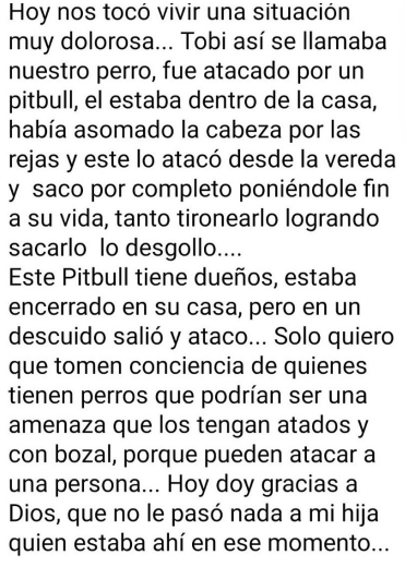 PITBULL Q