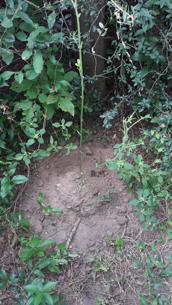 1743021d-4e0f-4b14-9471-555bd90b5594