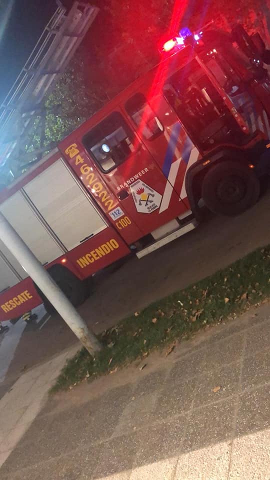 56737282_152960775730878_6664678058043113472_n