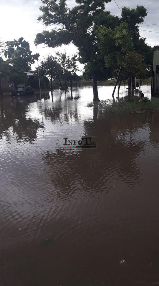 51904273_10213703498802781_5094531292725248_n