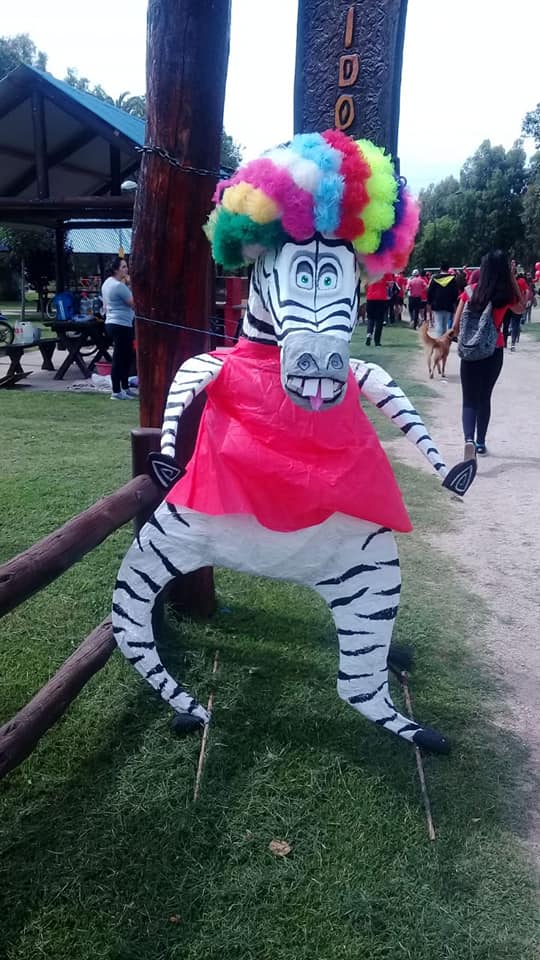 46513669_2186500078028319_804121768775122944_n