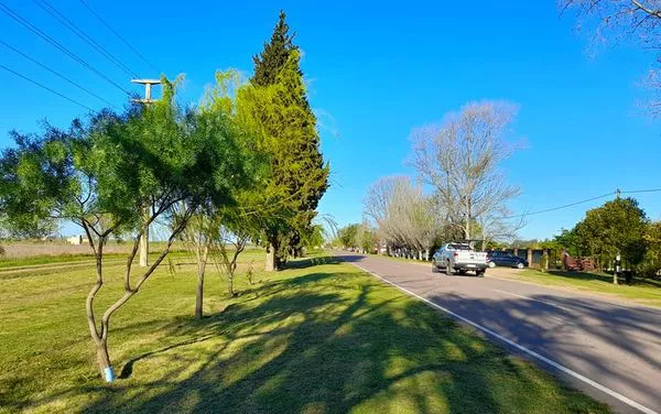 forestacion Parera 1