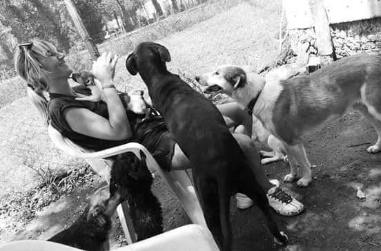 a2a56993-28af-477c-81b5-d9316c697092