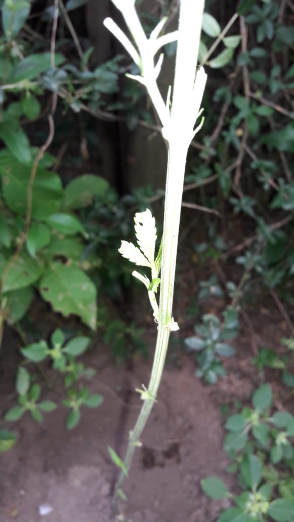 5338e77b-1b60-4e23-b9d7-09ea6de7db08