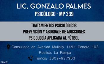 GONZALO PALMES GONZALO PALMES