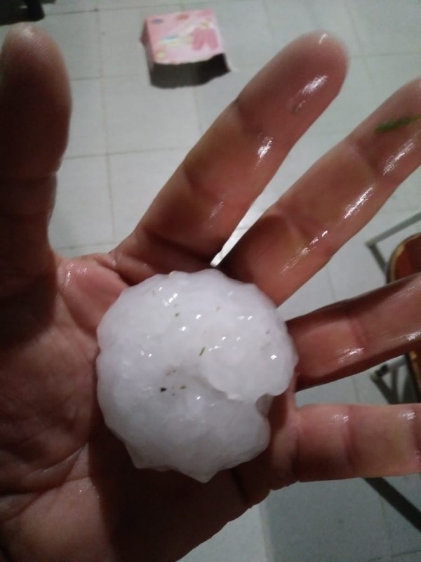 WhatsApp_Image_2019-02-08_at_13.33.48