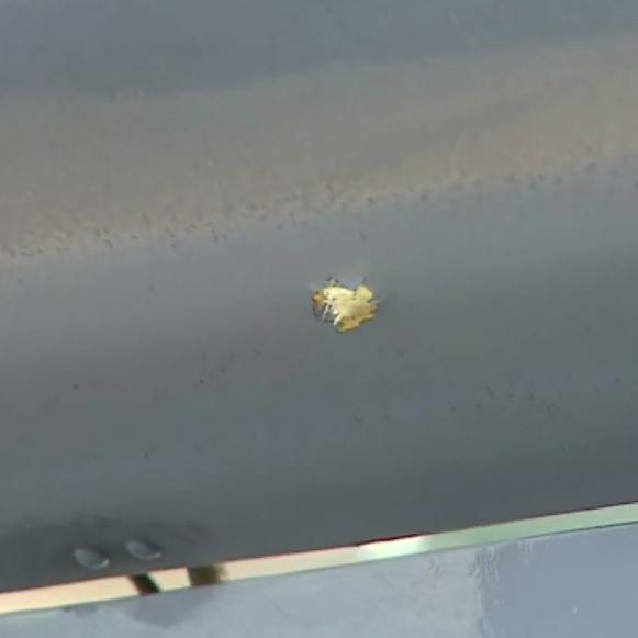 285203d2-e4ef-4cb5-9a15-d7bd739d6cb6