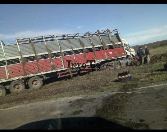 36d9746a-ef16-4bf8-a078-bd8d00a2b6b5