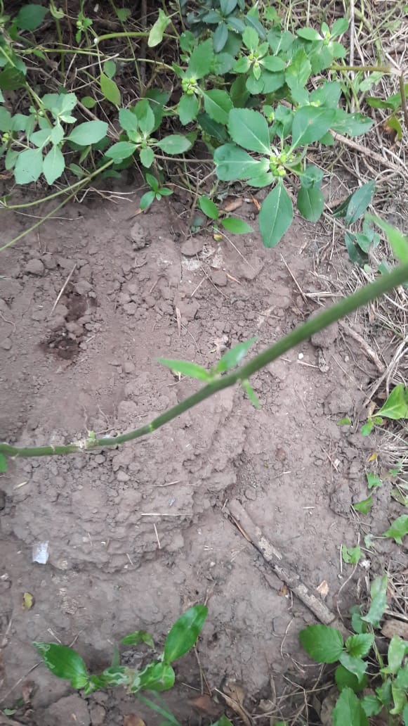 b1dfdee4-fcaa-4dc7-9476-3bc4b818f7e2