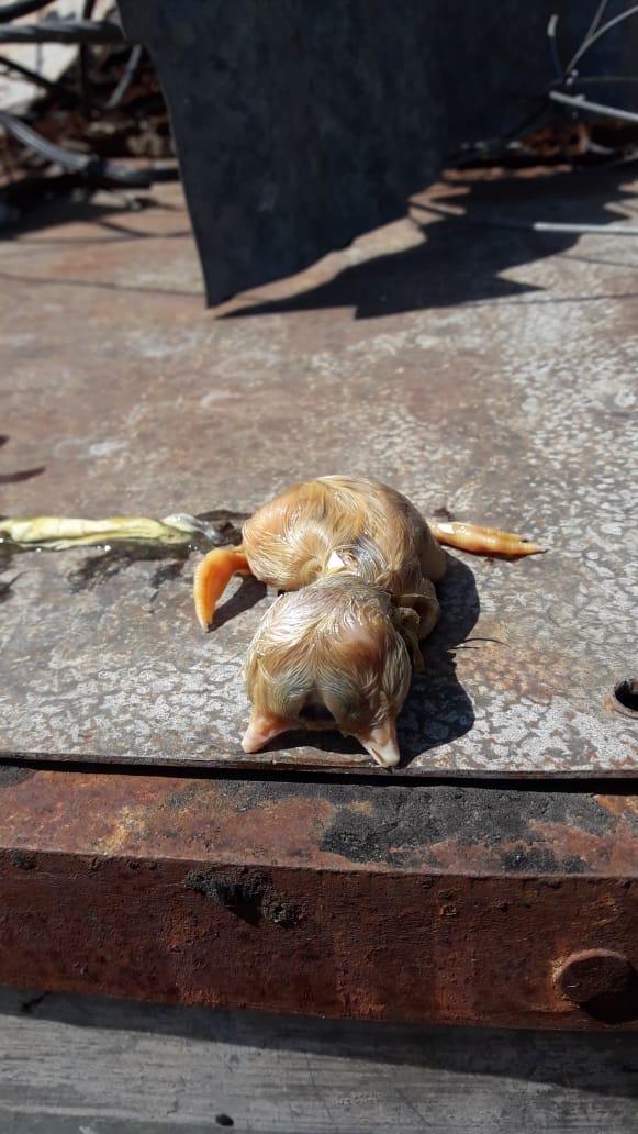 7d59408f-115c-47ef-8a2e-047d9112189f