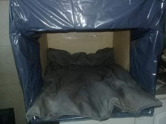 CUCHAS CAJAS TETRA 2