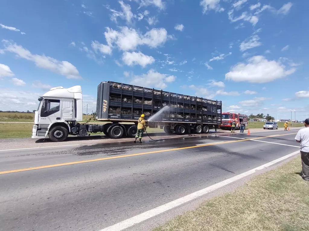 ovejas 2 (FILEminimizer)