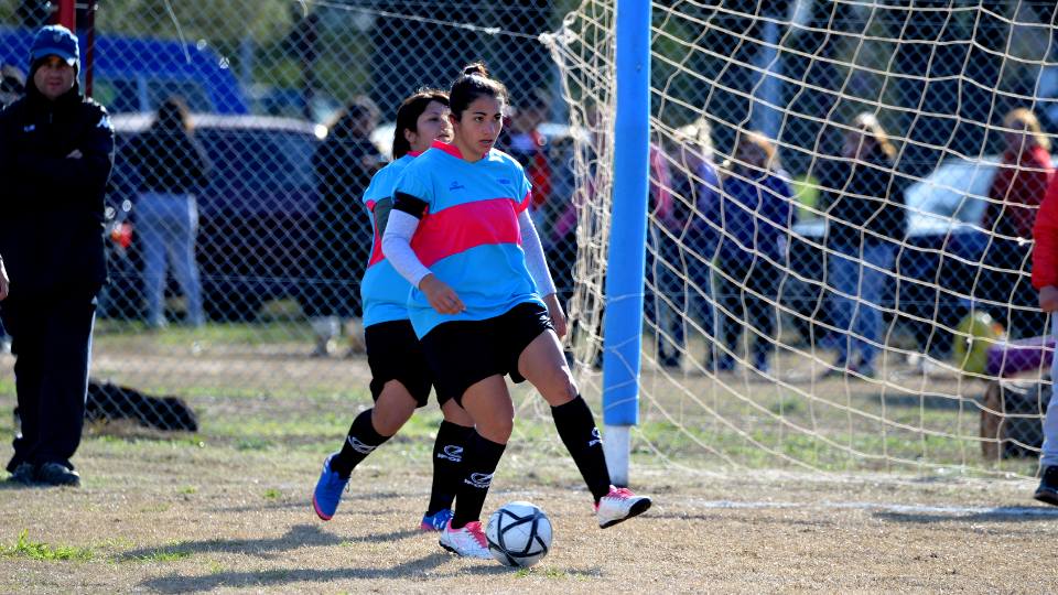Las pumas 1