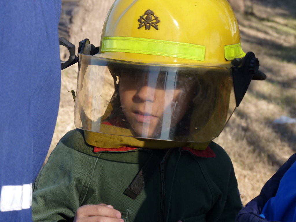 P1210882 (FILEminimizer)