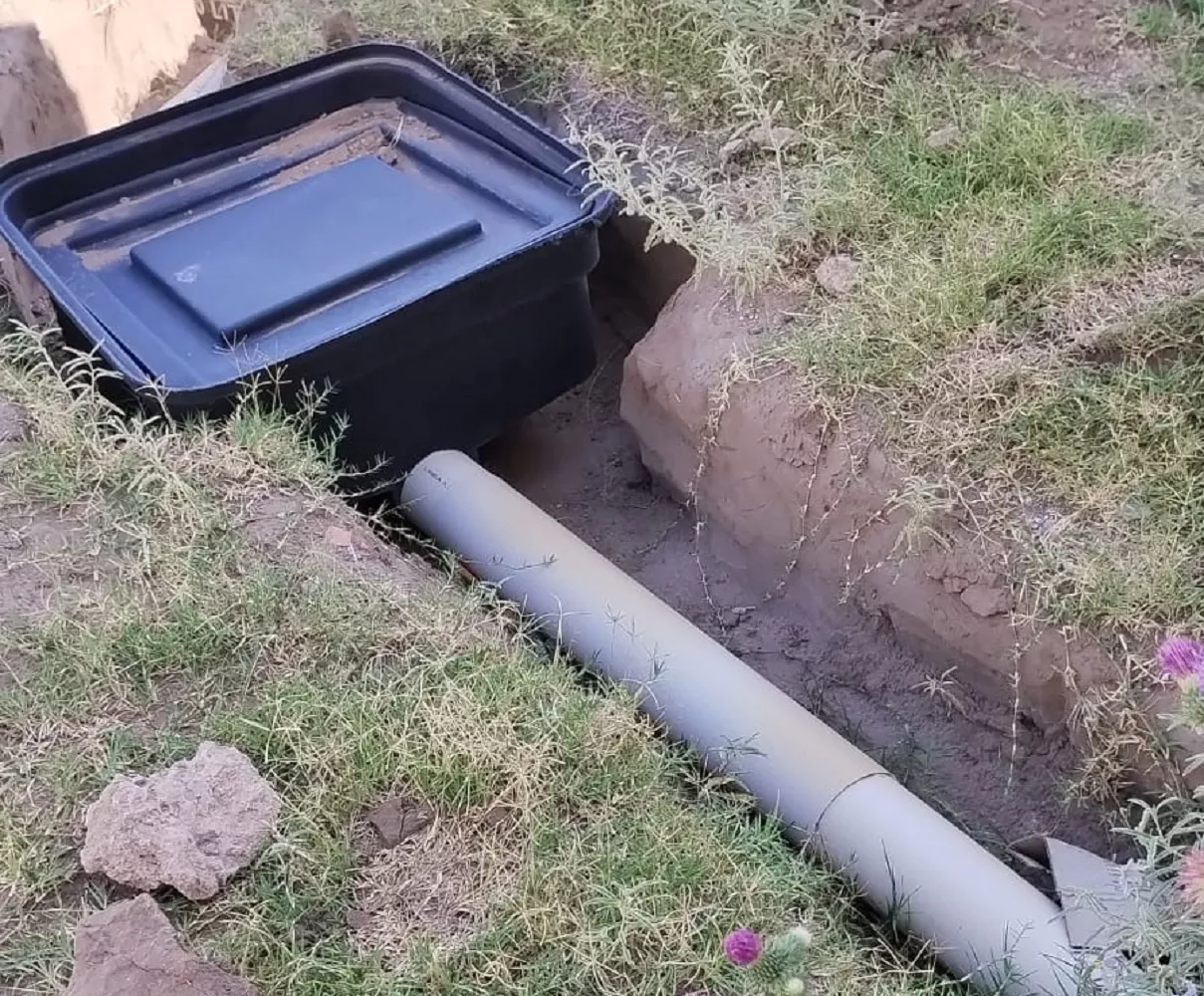 542802_whatsapp-image-2023-02-17-at-15.15.09