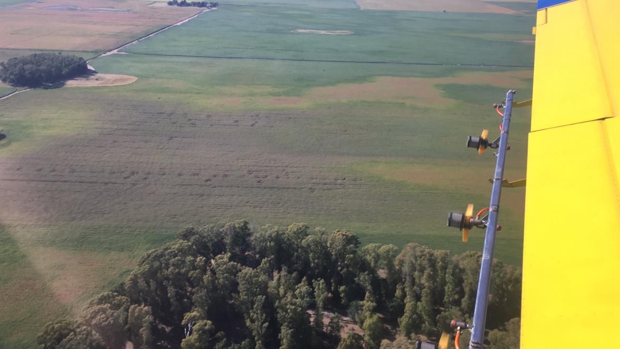 f6140625-ca12-4909-8a0c-a7560b91a762