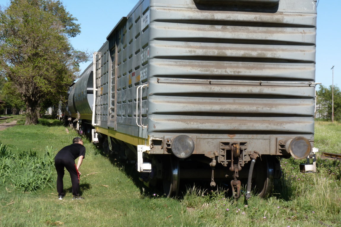 P1460236 (FILEminimizer)