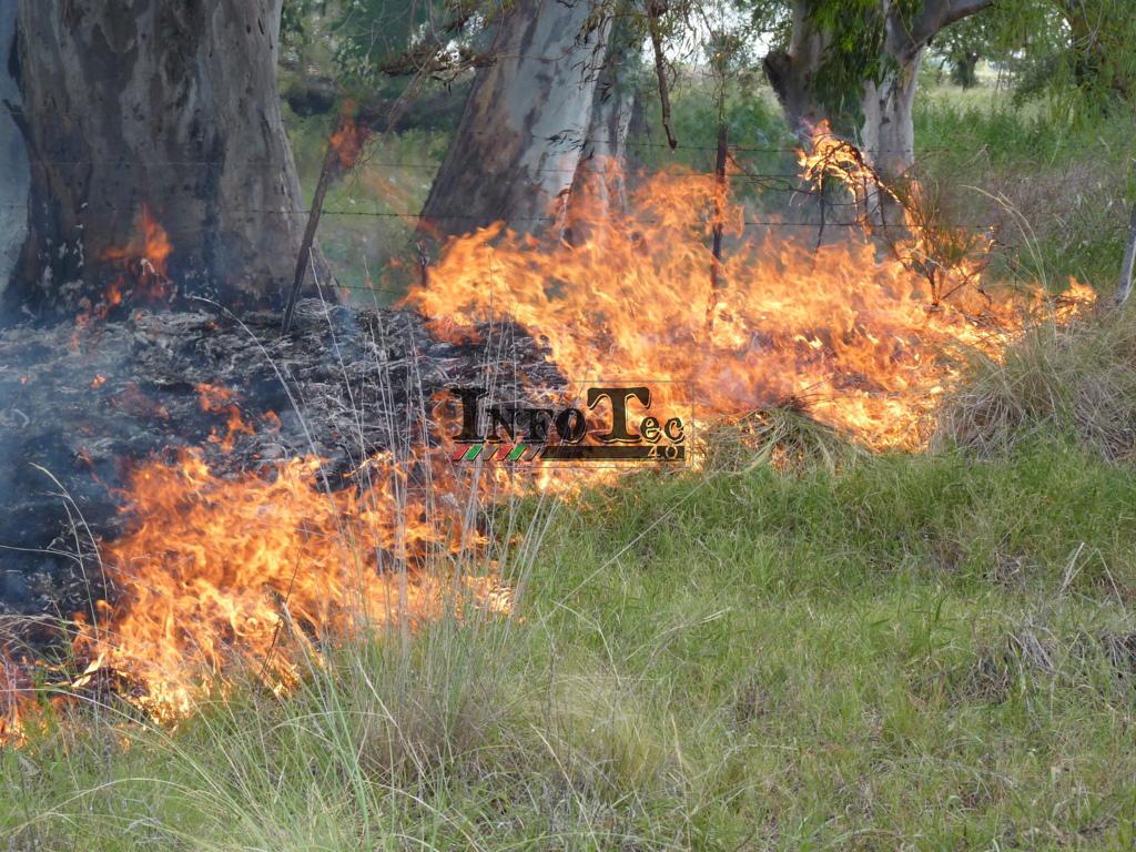 P1320314 (FILEminimizer)