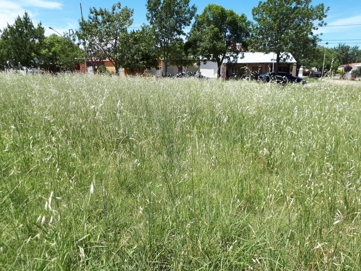 f36b3c74-8237-4a6d-b396-f8f6a37d1ce0