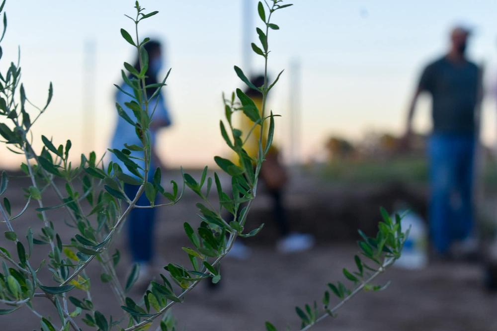 164315287_4194954050537093_7591564198631474056_o