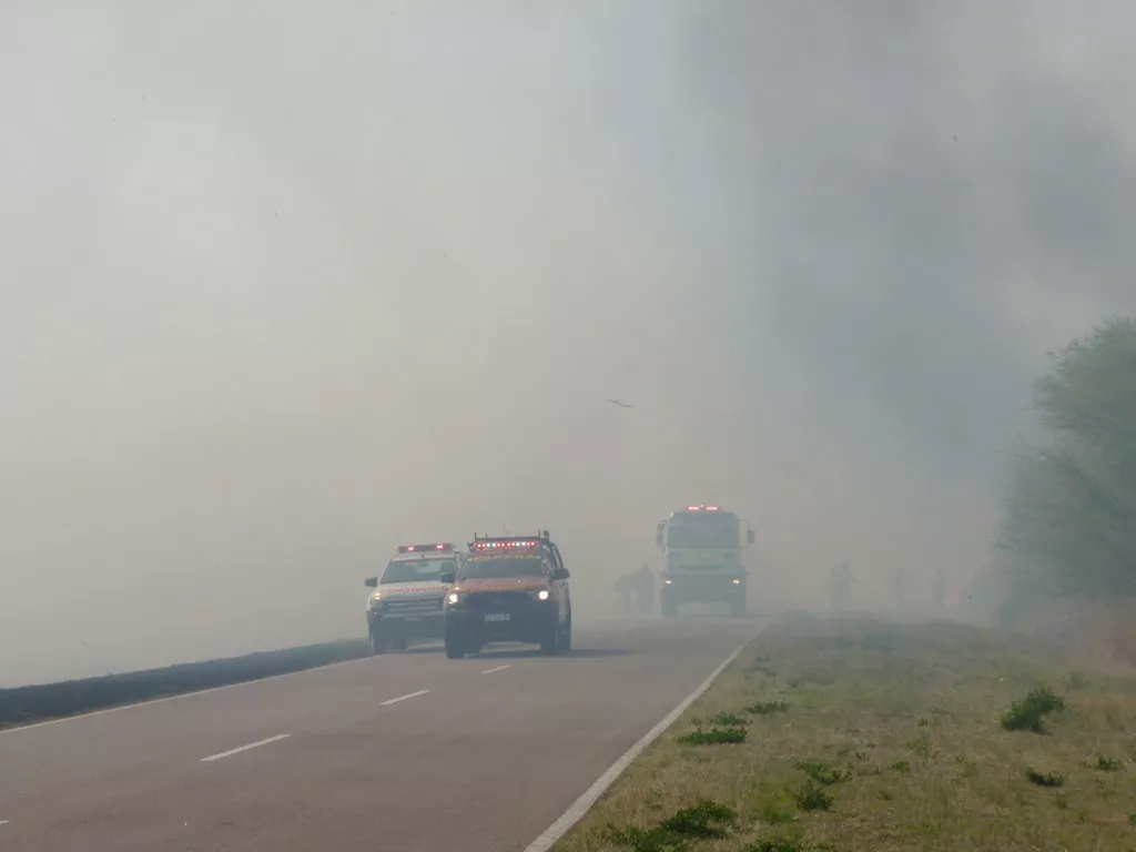 P1160821 (FILEminimizer)