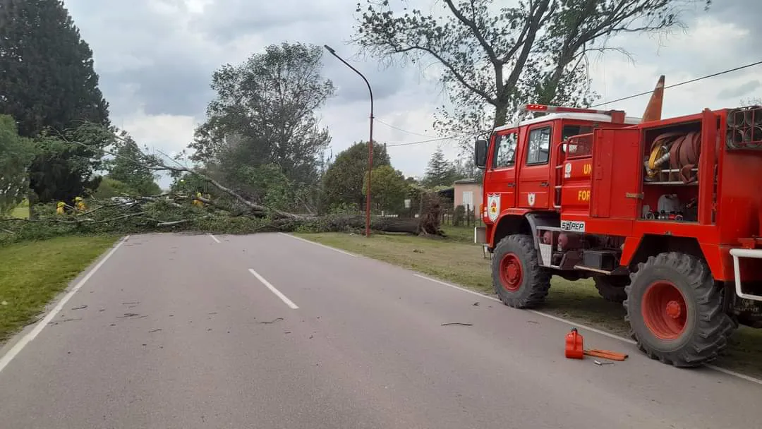 FB_IMG_1697921898193