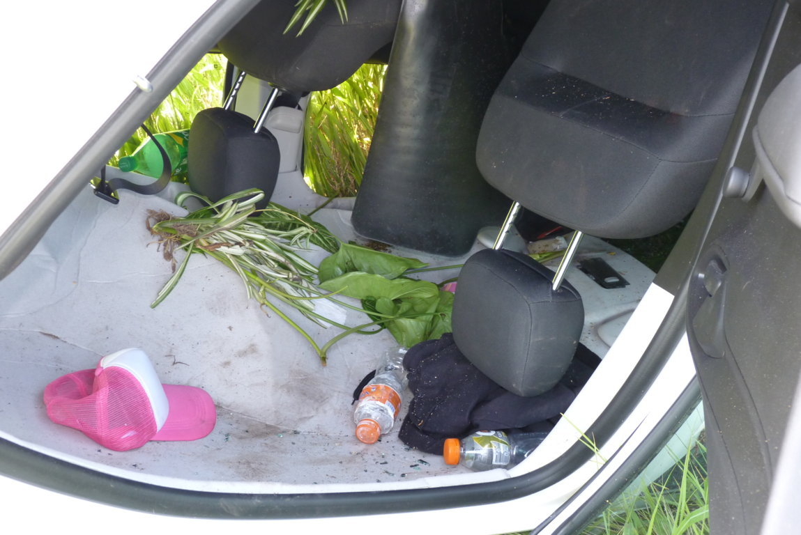 P1460797 (FILEminimizer)